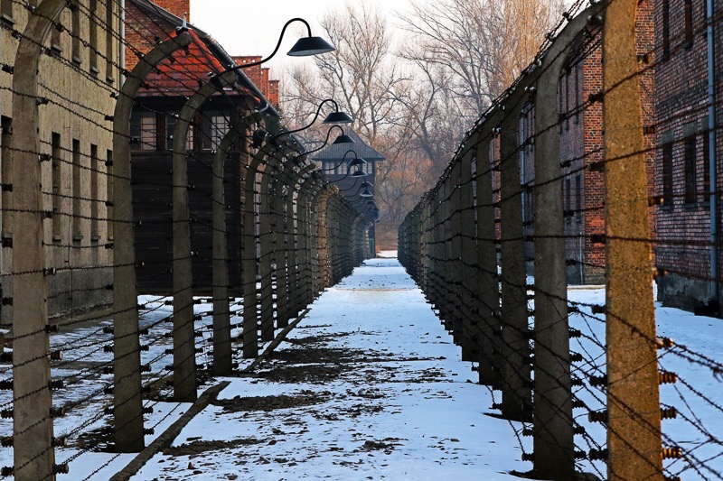 Auschwitz barbed wire, Poland
