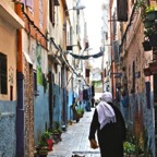 Alley cat, Casablanca, Morocco.jpg