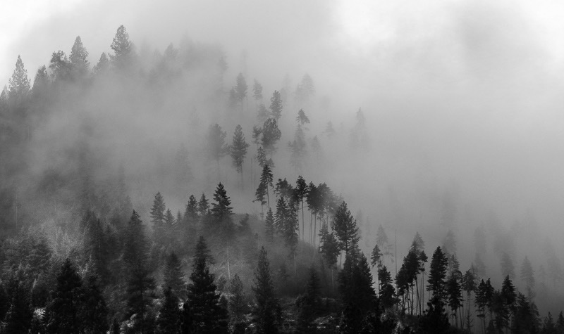 Foggy mountain, near Seattle, Washington
