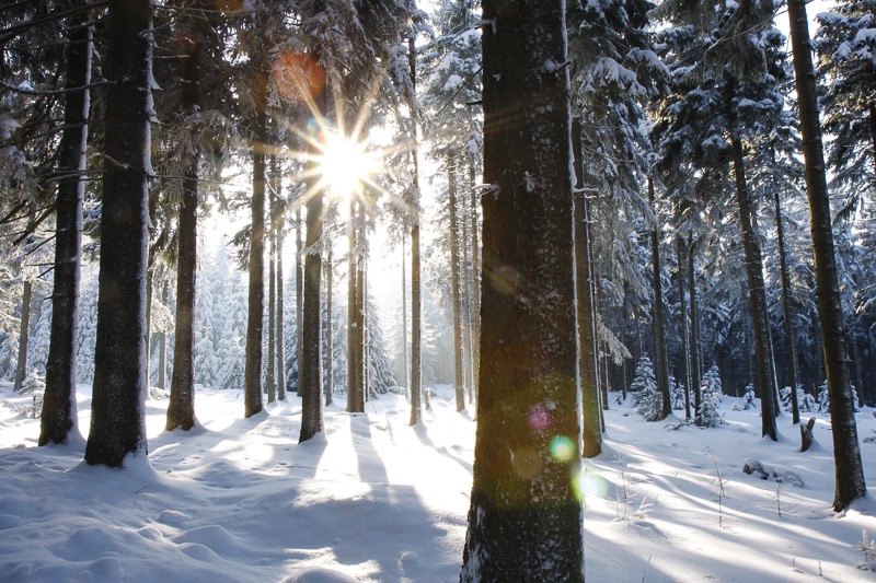 Sun & snow, Altenberg, Germany
