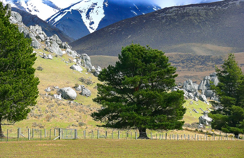 Plains to mountains, New Zealand
