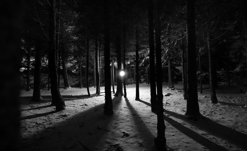Light in the dark, Altenberg, Germany 2
