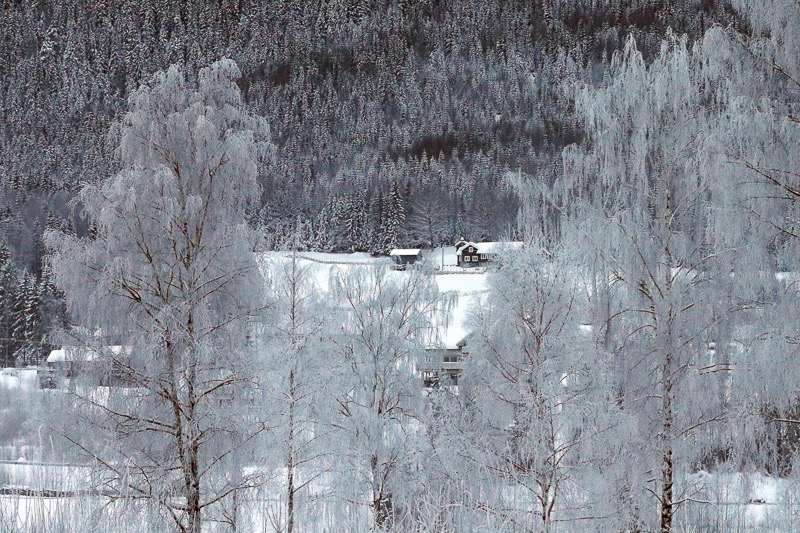 Ice trees, Hunderfossen, Norway
