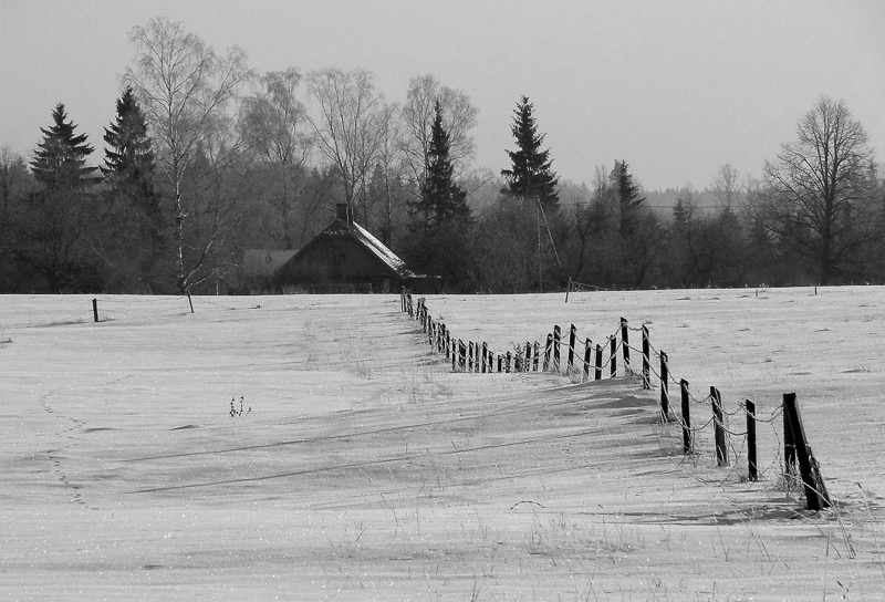 Fence line, Ligatne, Latvia
